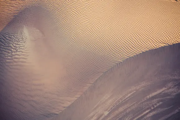 Koi Casino Tacaíocht